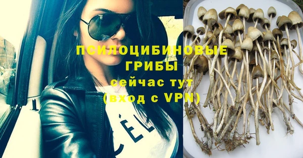 таблы Мегион