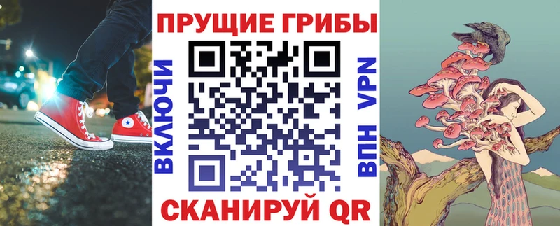 Галлюциногенные грибы Cubensis  Маркс 